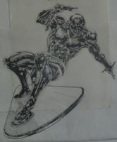 Medium: graphite  Prints available. This image was used for T-shirt design (see T-shirt gallery). 